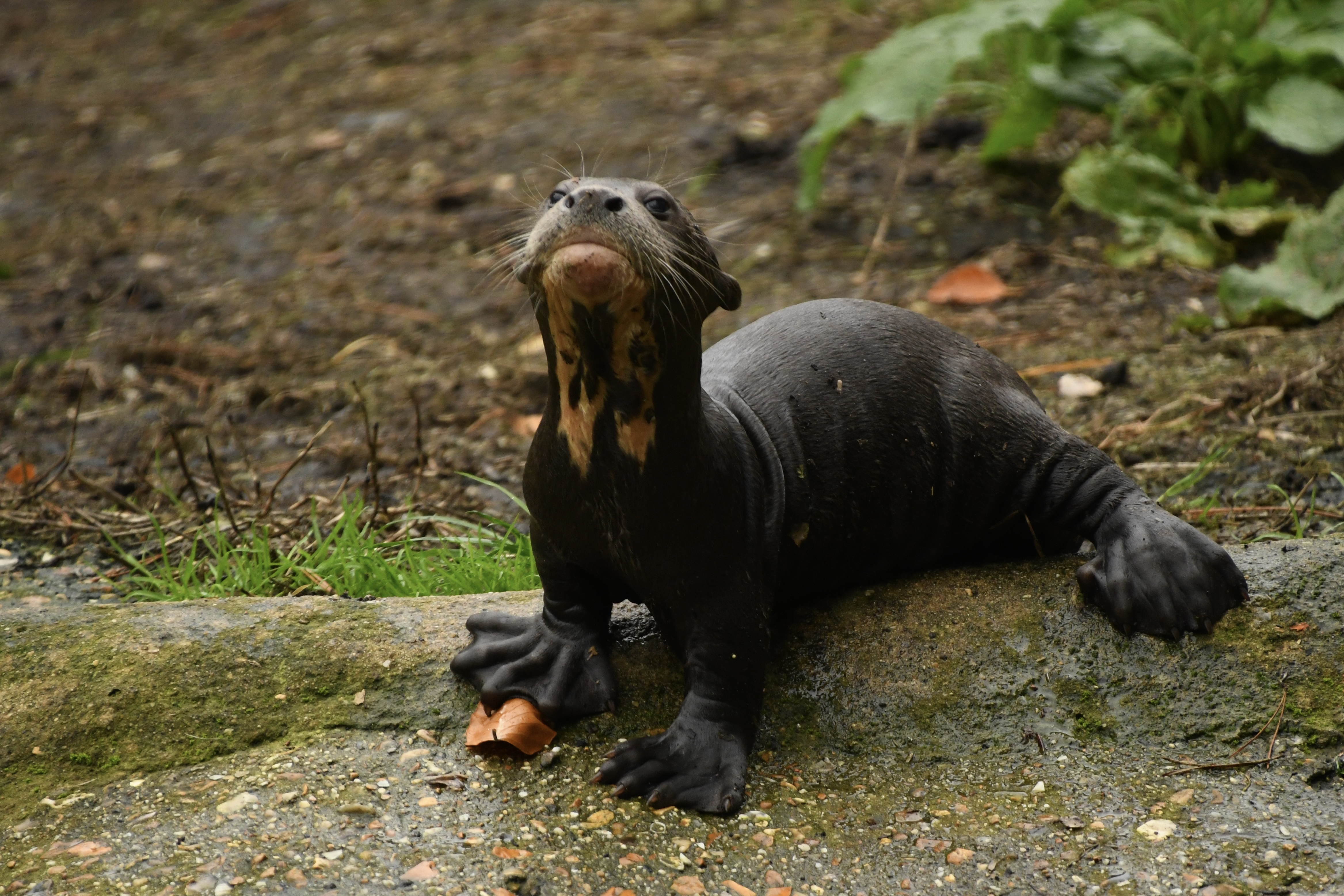 Photographer Clare Lodwidge DSC 2970