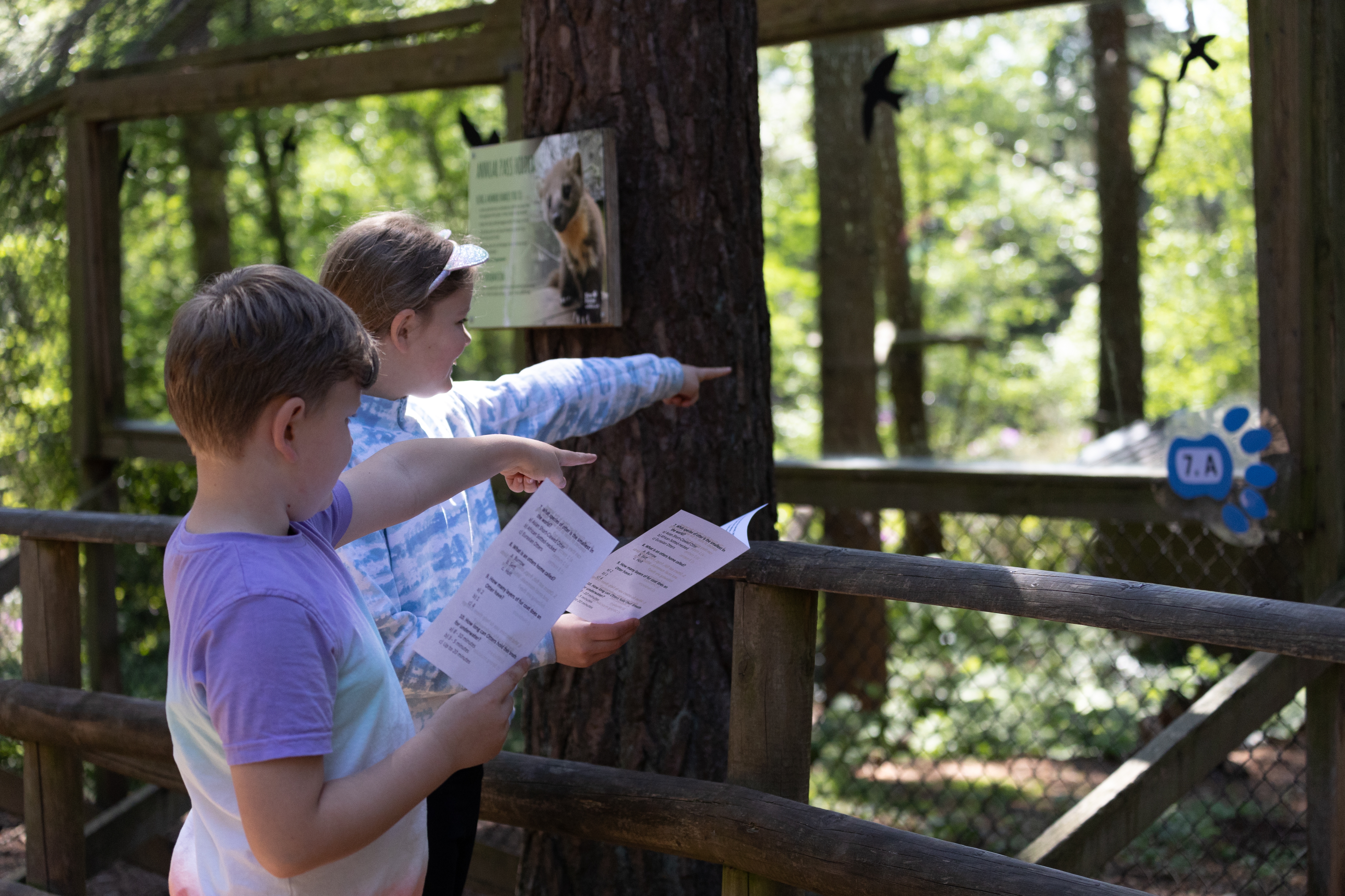 New Forest Wildlife Park 63