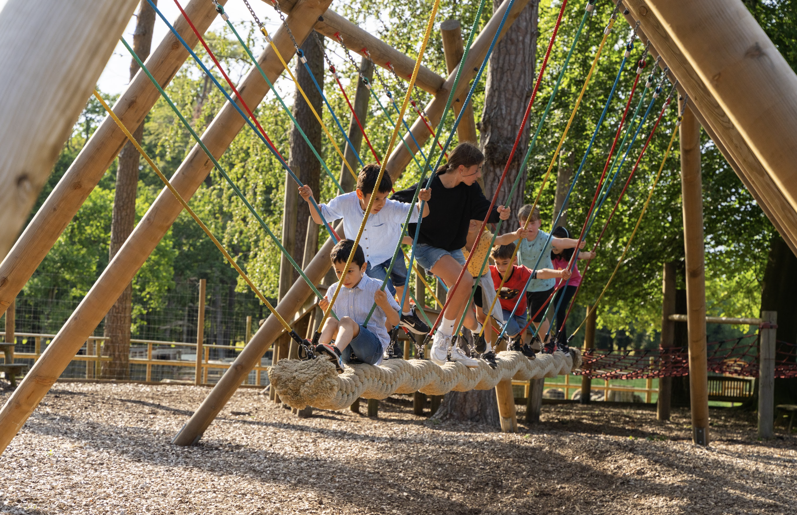 New Forest Adventure Playground